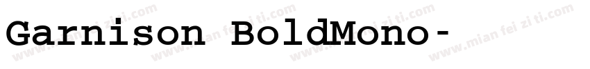 Garnison BoldMono字体转换